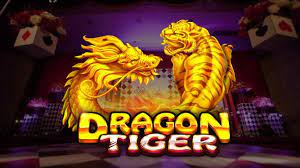 Dragon Tiger (Practical Play) Review